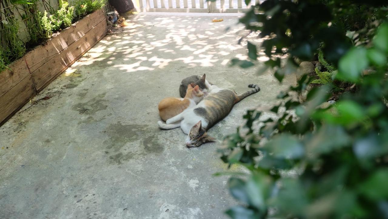 Nha Homestay Đà Nẵng Ngoại thất bức ảnh