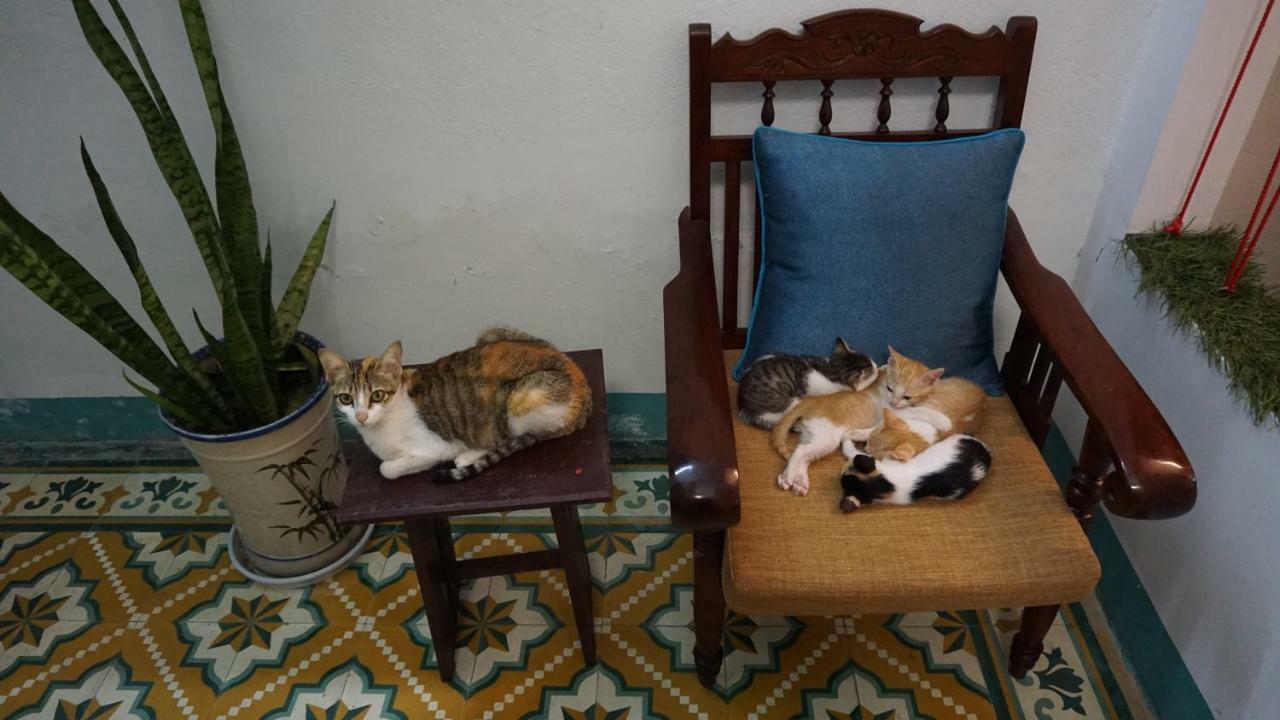 Nha Homestay Đà Nẵng Ngoại thất bức ảnh