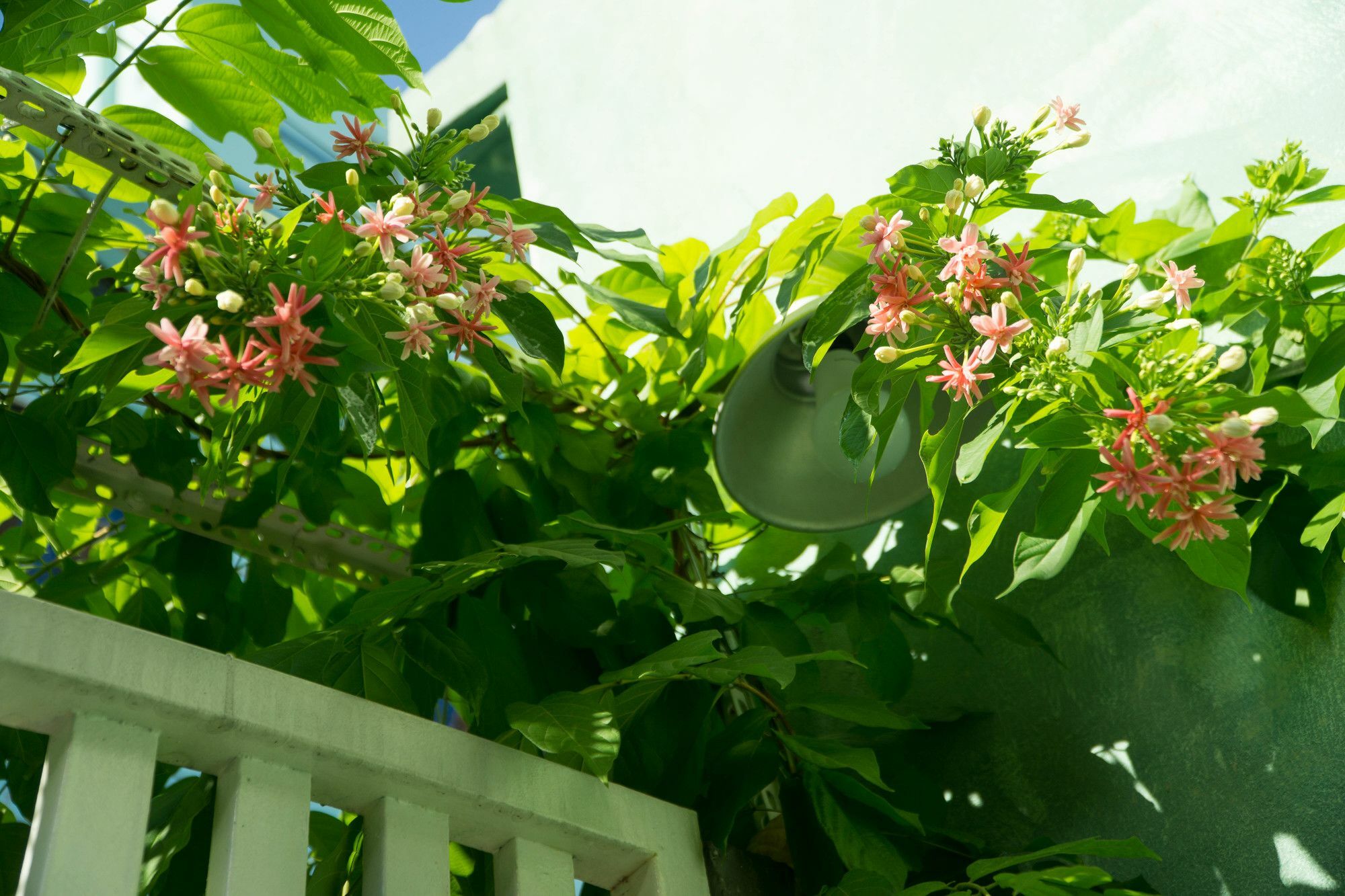 Nha Homestay Đà Nẵng Ngoại thất bức ảnh
