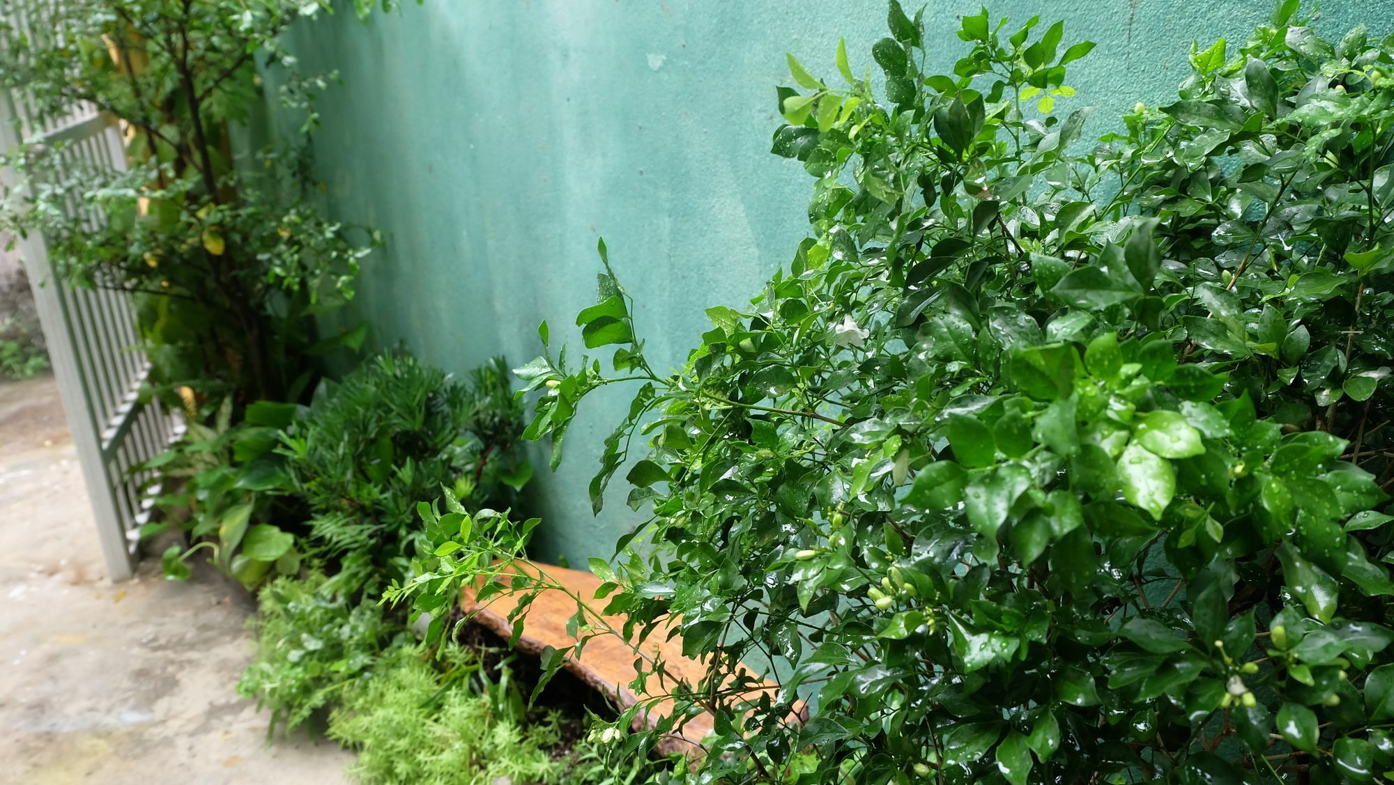 Nha Homestay Đà Nẵng Ngoại thất bức ảnh