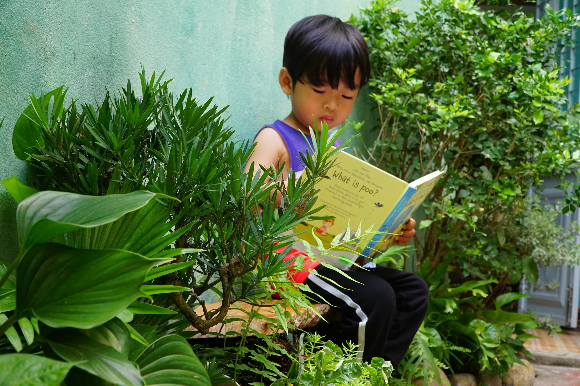 Nha Homestay Đà Nẵng Ngoại thất bức ảnh